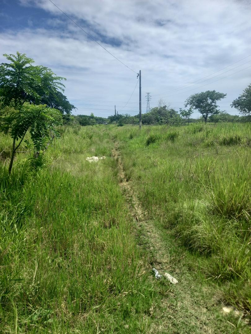 solares y terrenos - Vendo terreno con 70 tareas en santo domingo  1