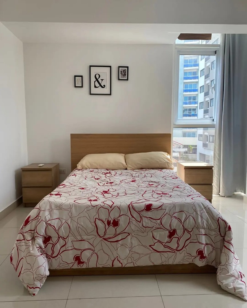 apartamentos - Alquilo apartamento amueblado en La Esperilla 4