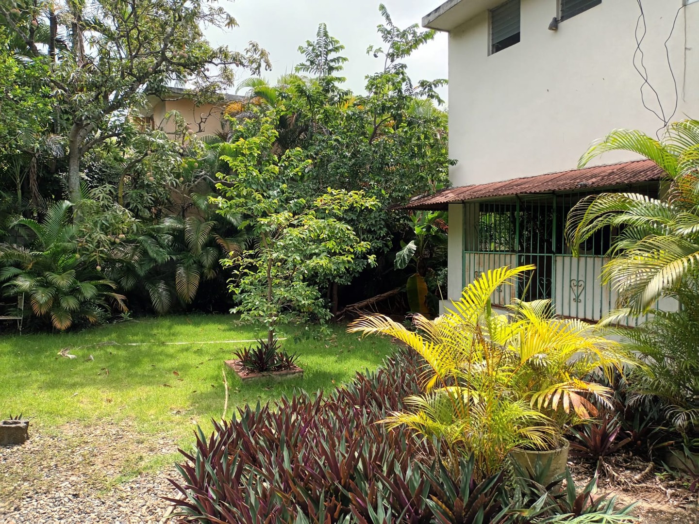 casas - Casa en venta y alquiler en Ensanche Julieta  6