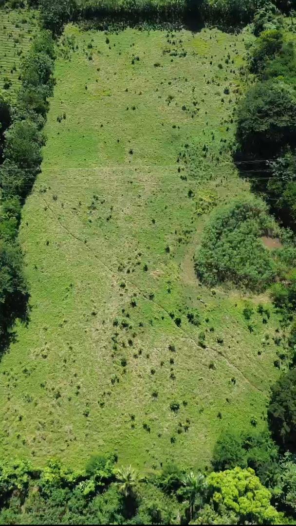 solares y terrenos - 19,200mts² Terreno/Solar en El Toro de Guerra, Carretera Mella 3