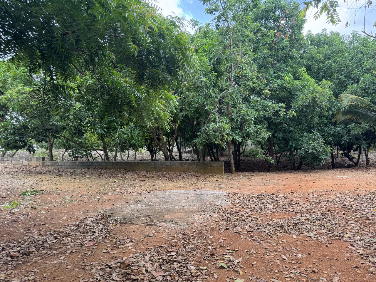 solares y terrenos - 036-D FINCA EN BRISA DEL ESTE, SANTO DOMINGO 5
