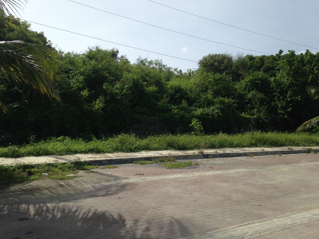 solares y terrenos - Solar Parcela En Costa Boca Chica Comercial residencial industrial