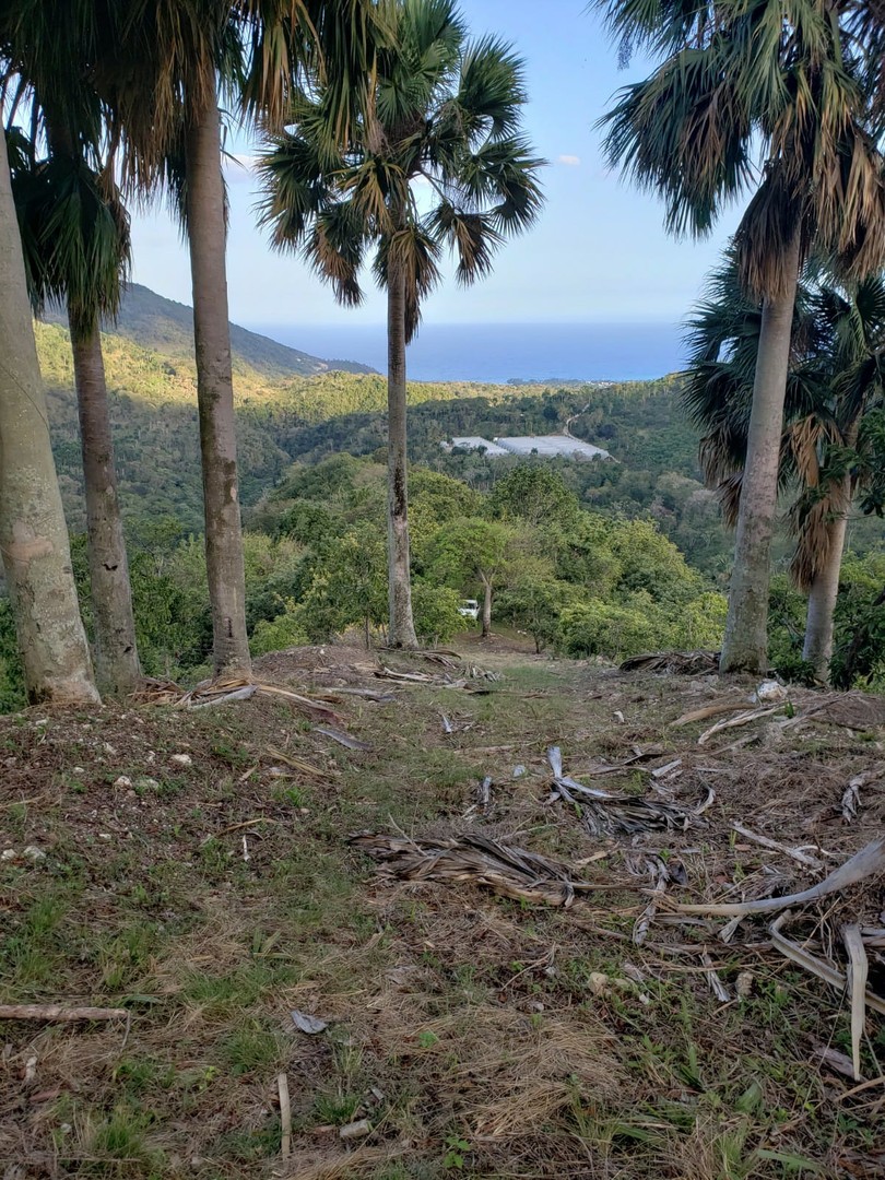 solares y terrenos - Finca de Aguacates en Venta en Paraíso, Barahona 1
