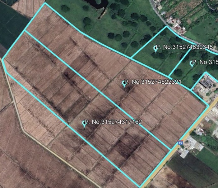solares y terrenos - Finca arrocera, excelente producción, frente comercial  $US 4,200.00/ tarea 0