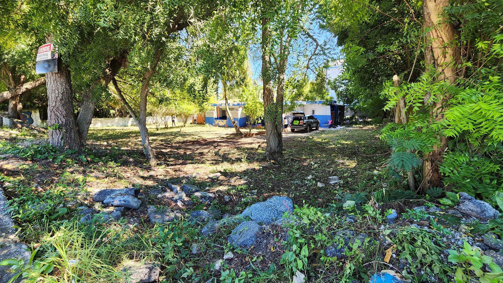 solares y terrenos - Solar en venta, juan Dolio en la Av. Boulevad 3