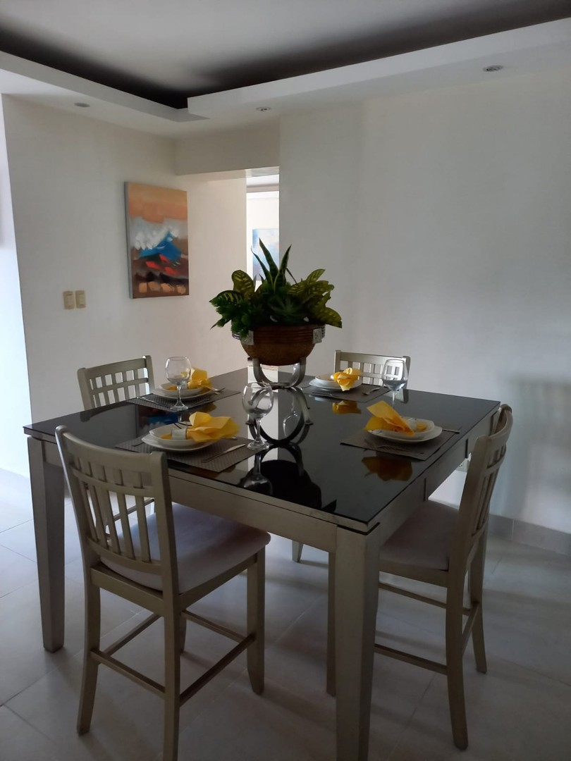 apartamentos - Apartamento en renta amueblado (frente Novocentro) piantini 7