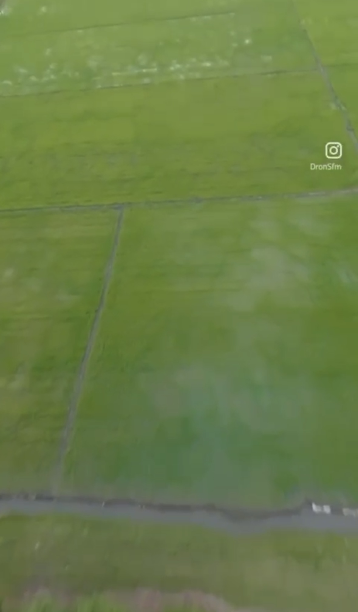solares y terrenos - Finca arrocera, excelente producción, frente comercial  $US 4,200.00/ tarea 1