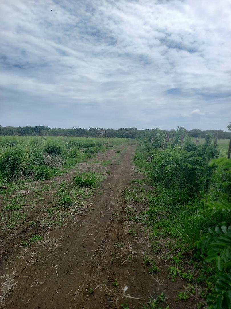 solares y terrenos - Vendo terreno con 70 tareas en santo domingo 