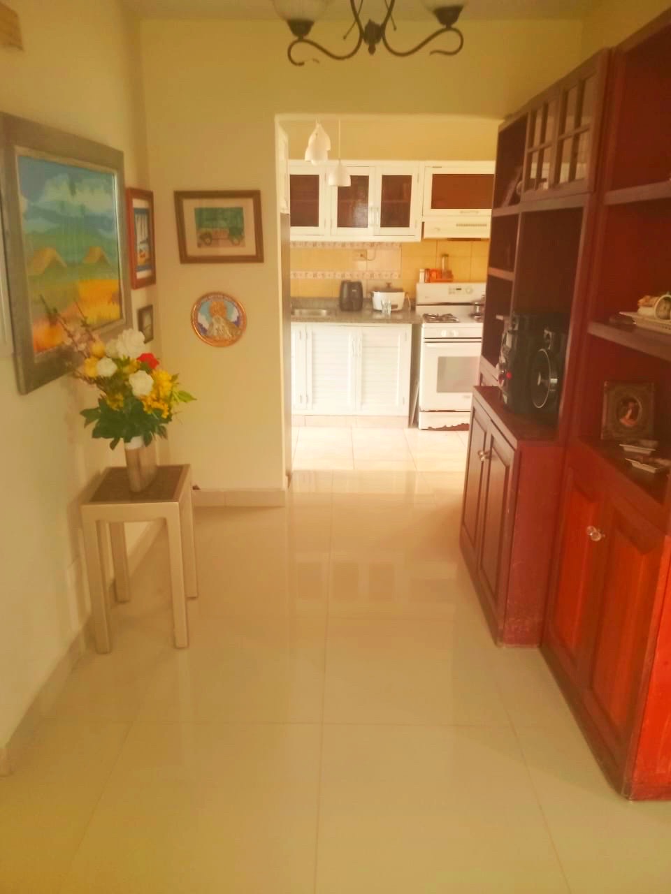 casas - VENDO CASA DE 2 NIVELES EN BAYONA STO DGO ESTE PROL 27 DE FEBRERO  5