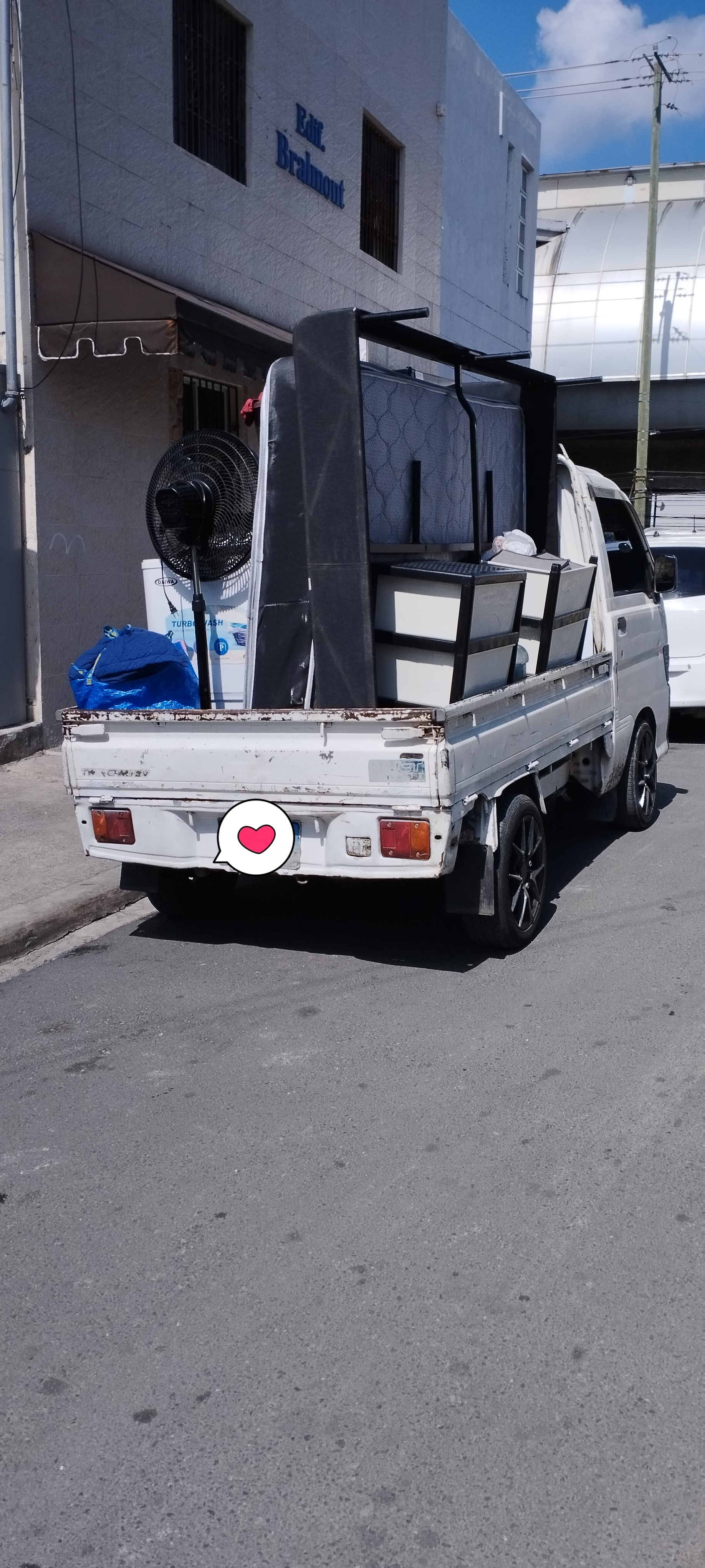 servicios profesionales - mudanza y acarreo  1