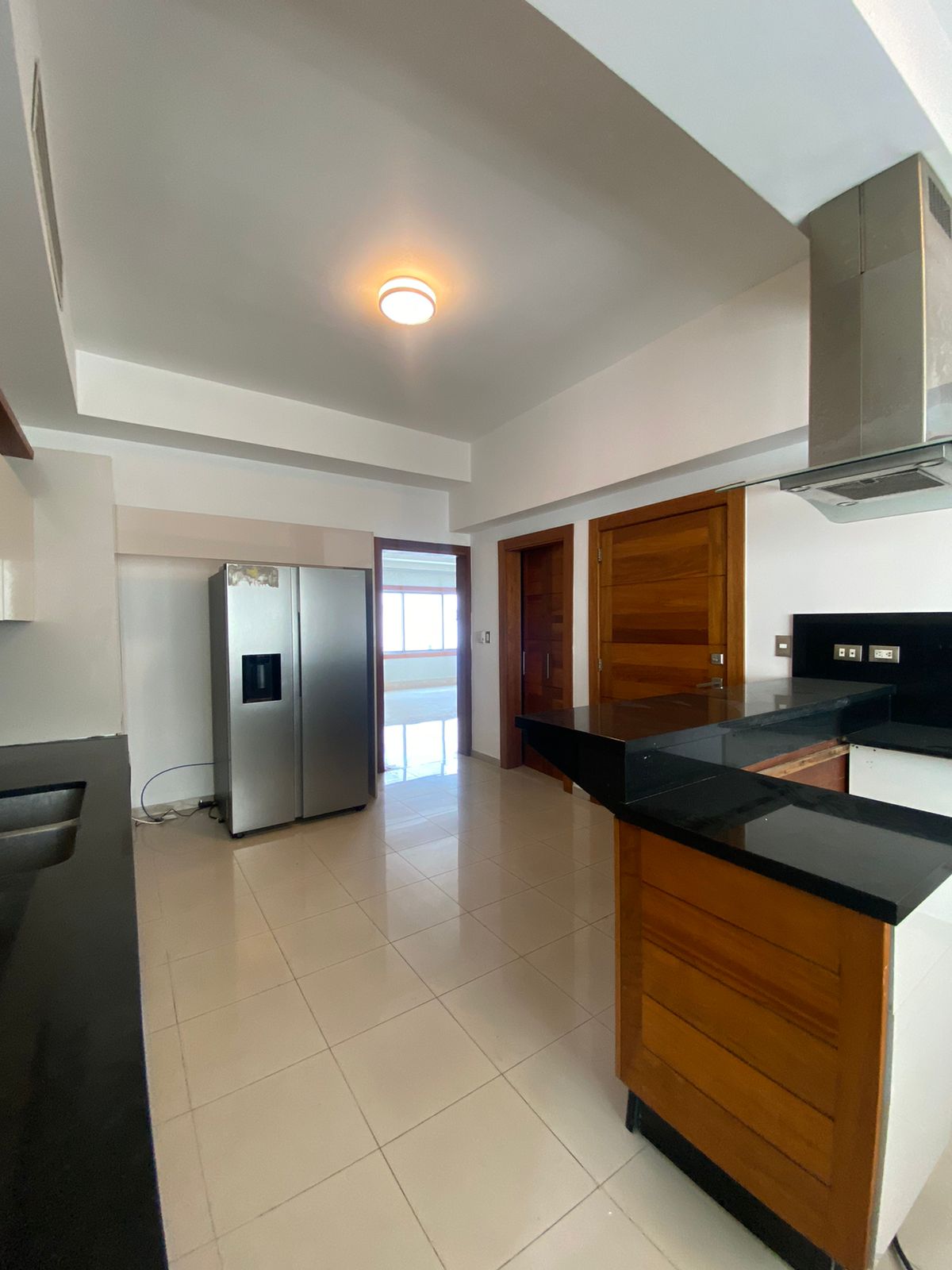 apartamentos - APARTAMENTO EN VENTA EN PIANTINI 2