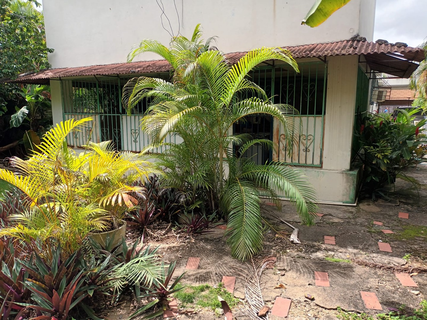 casas - Casa en venta y alquiler en Ensanche Julieta  5