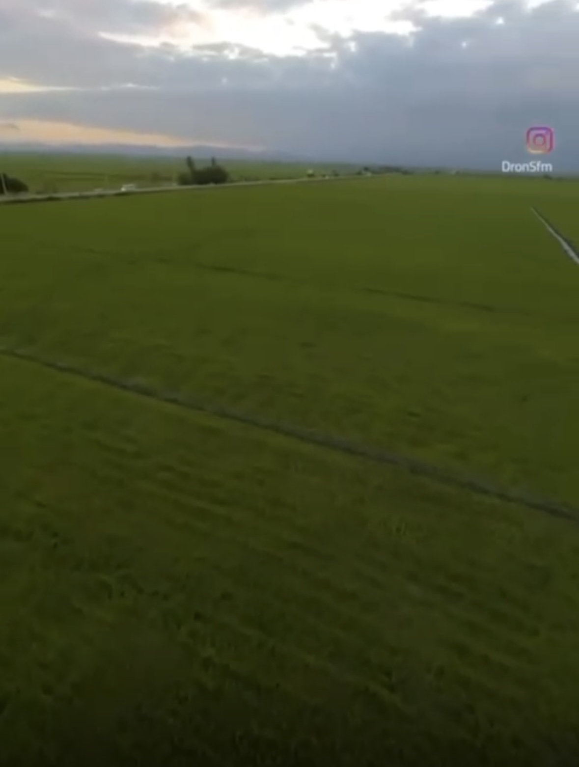 solares y terrenos - Finca arrocera, excelente producción, frente comercial  $US 4,200.00/ tarea 2