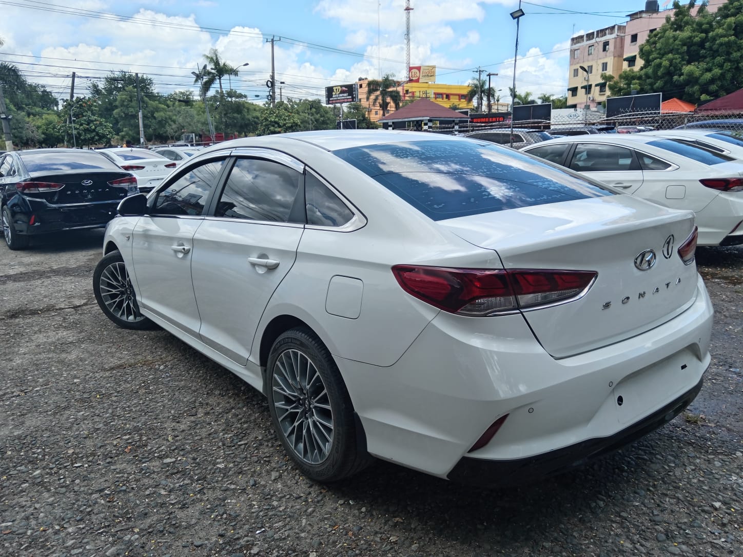 carros - HYUNDAI SONATA NEW RISE 2020 BLANCO 6