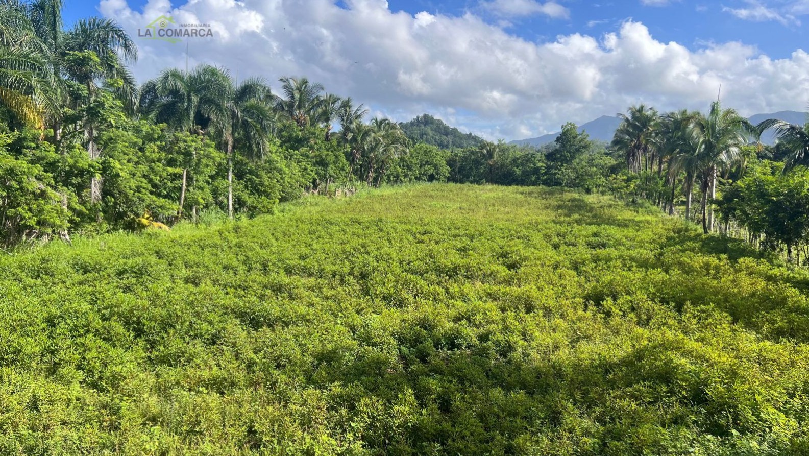 solares y terrenos - Gran Terreno De venta En Villa Altagracia
VENTA 0