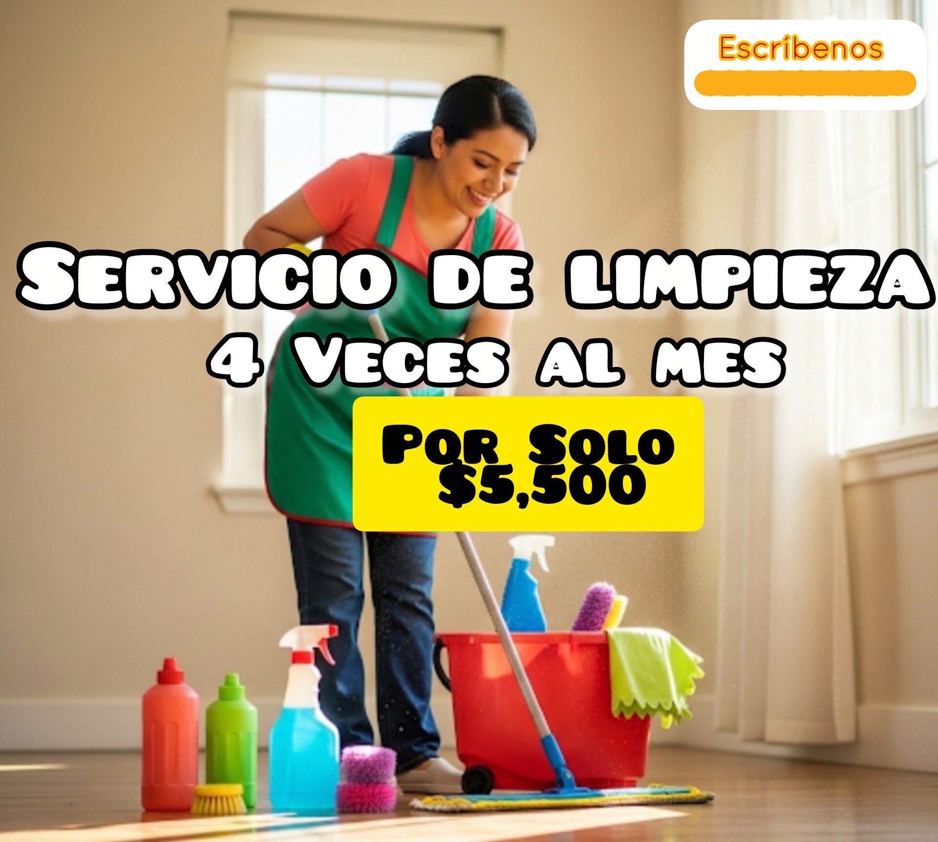 servicios profesionales - Servicio de limpieza 4 veces al mes