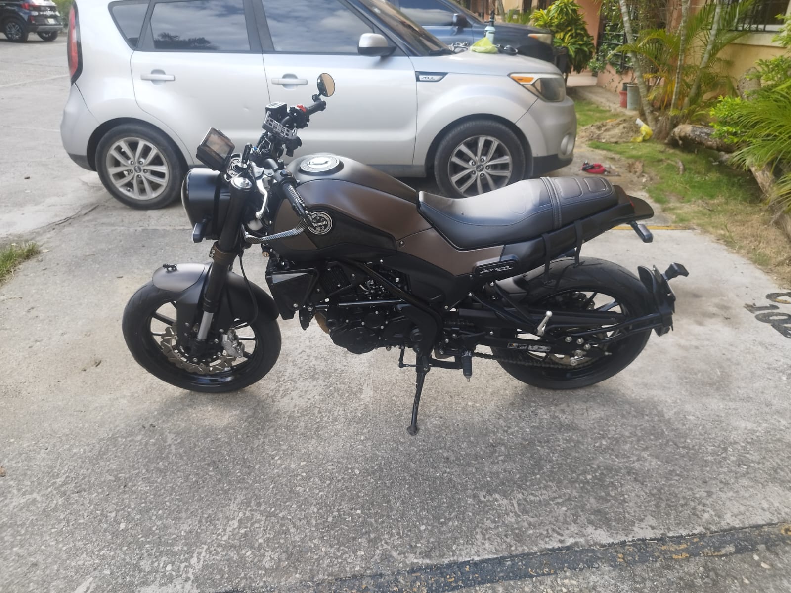 motores y pasolas - Benelli Leoncino 250 1