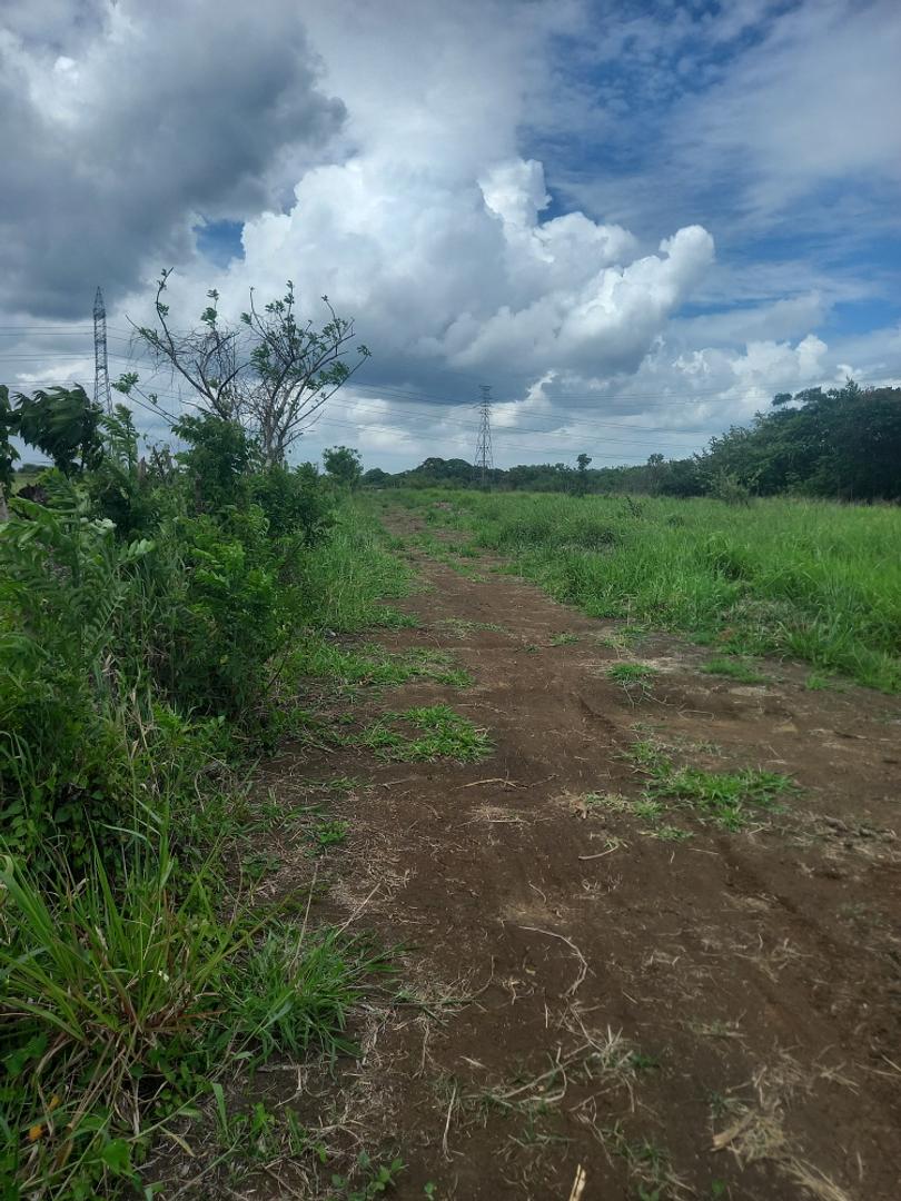 solares y terrenos - Vendo terreno con 70 tareas en santo domingo  2