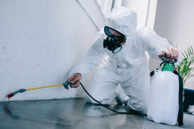servicios profesionales - Servicio de Fumigacion y Exterminio de plagas y roedores.