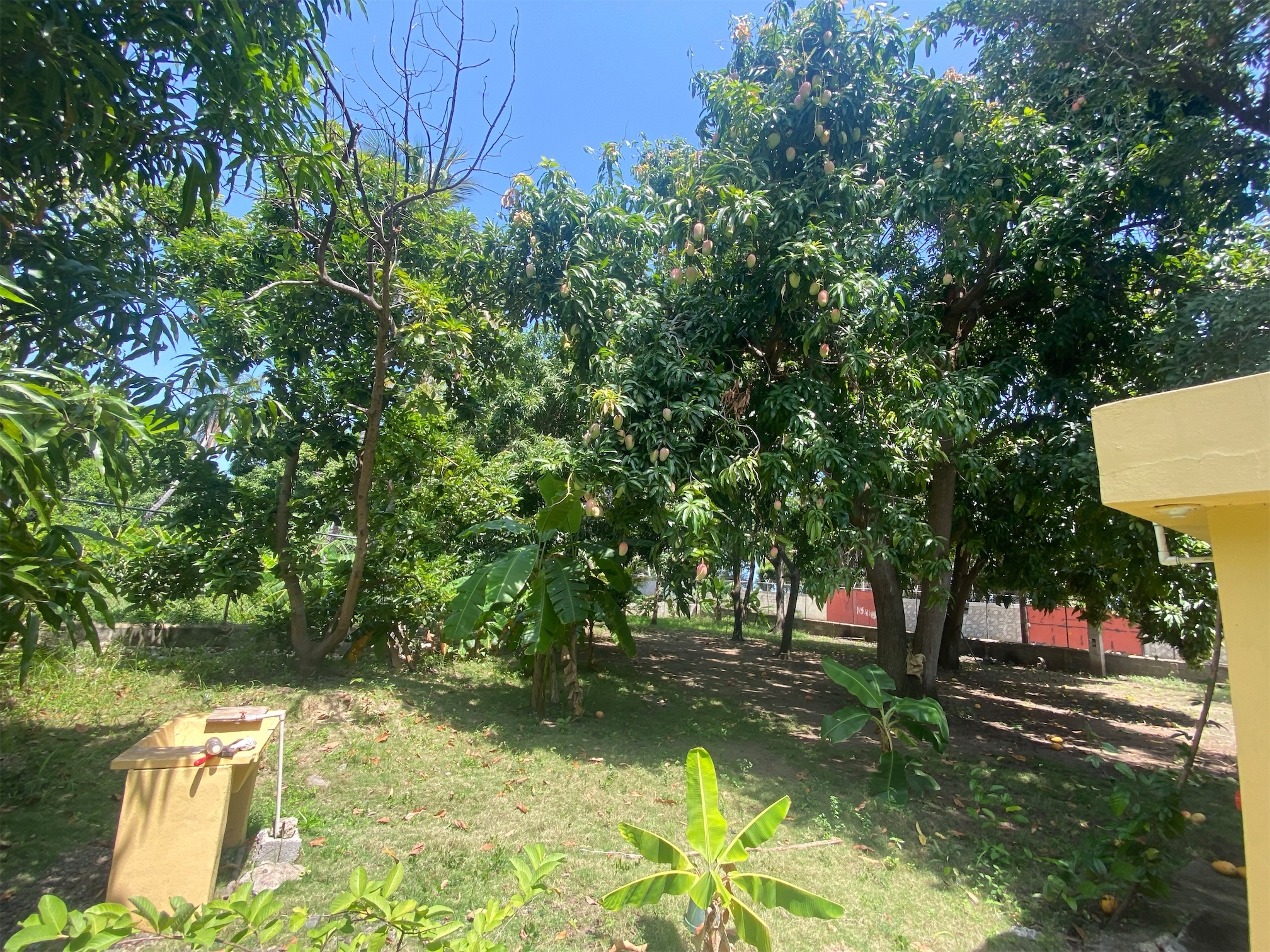 solares y terrenos - Finca en Bani Finquitas Gloria 9