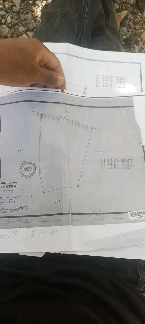 solares y terrenos - Vendo terreno con 70 tareas en santo domingo  3