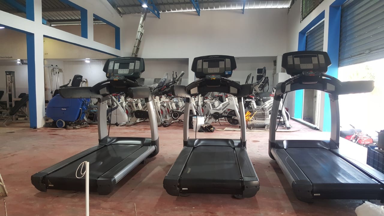 servicios profesionales - bandas y correas para caminadora  de todos los modelos 4