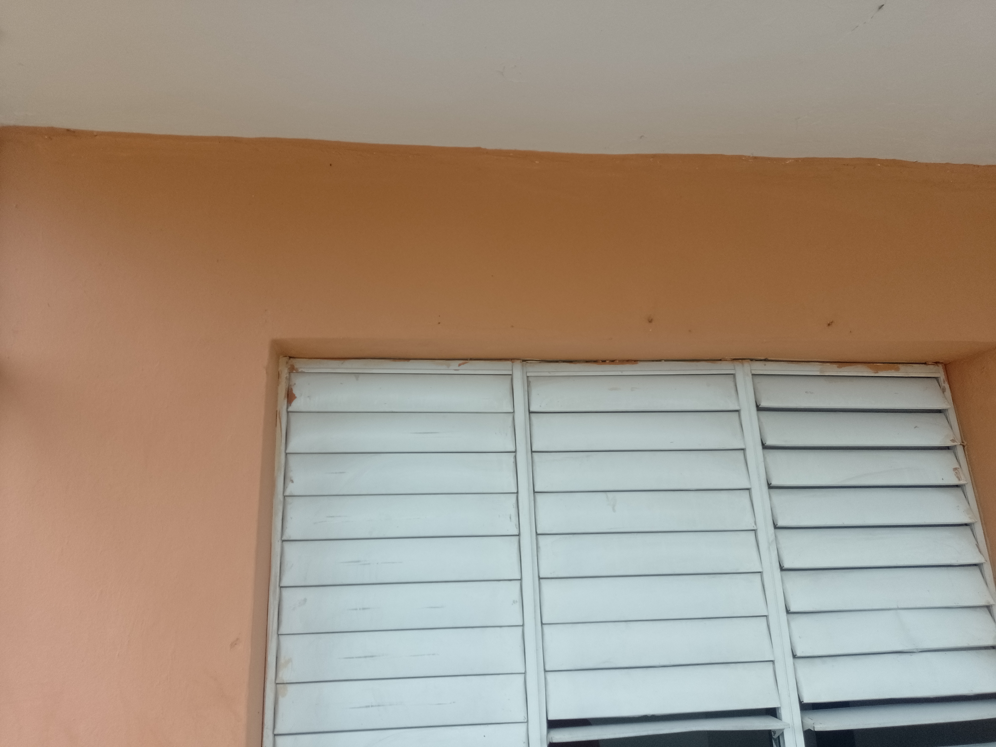 casas - Se vende casa en san cristobal. 3