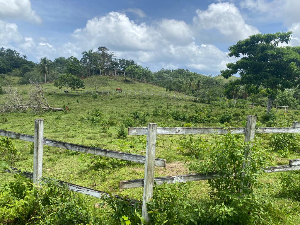 solares y terrenos - IMPRESIONANTE TERRENO EN VENTA: MÁS DE 19 HECTÁREA 3