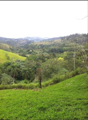 solares y terrenos - Solares en venta en Jarabacoa 4