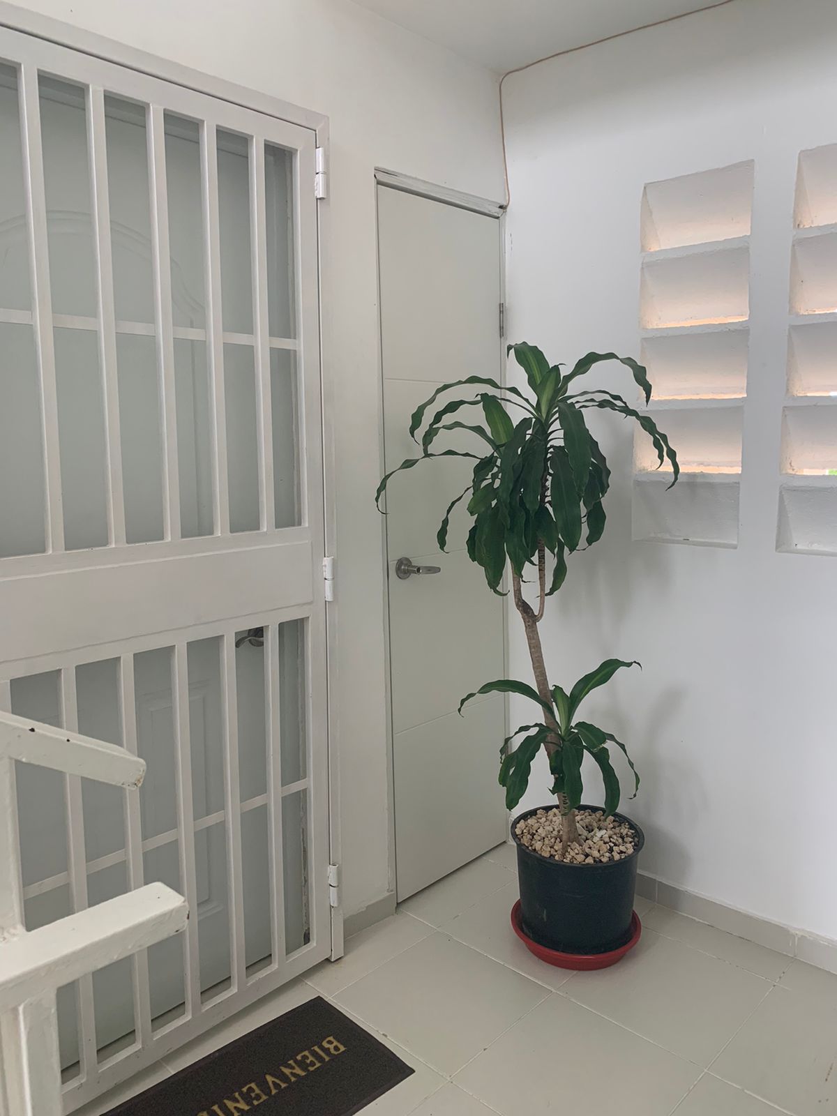 apartamentos - Venta de Apartamento en la Jacobo  5
