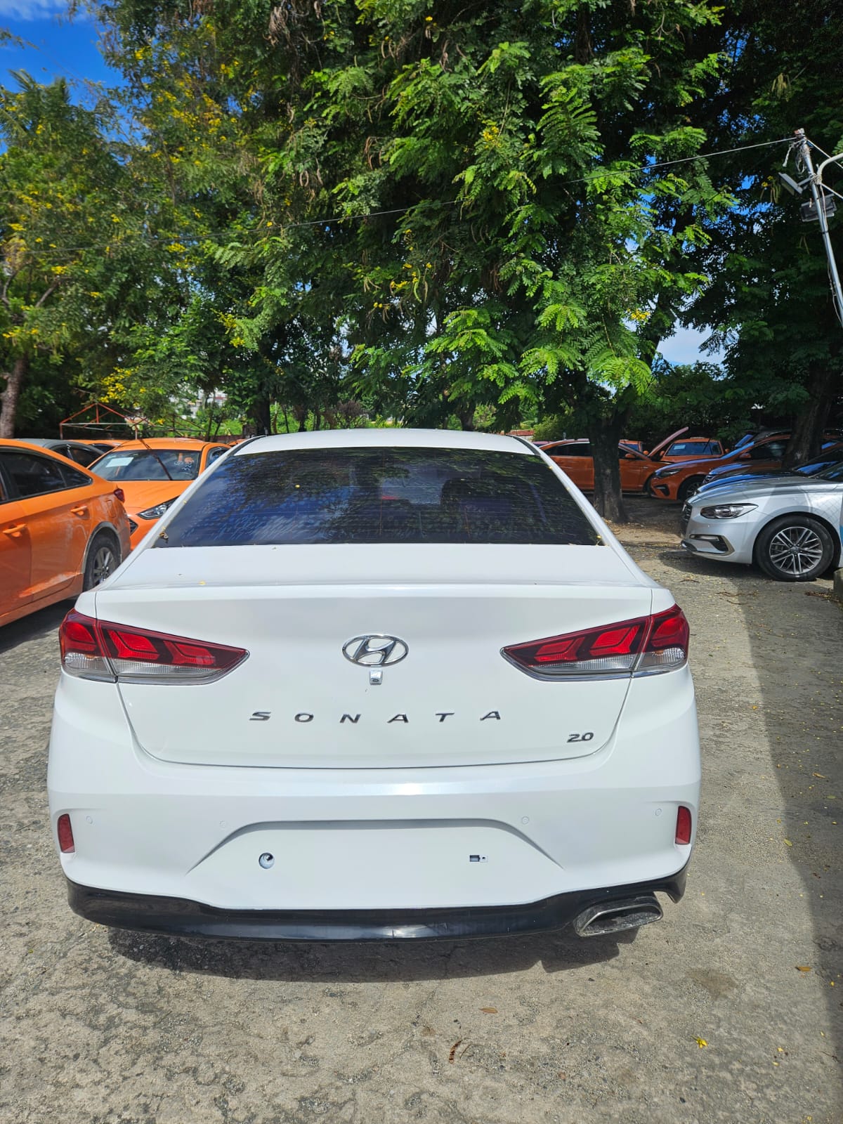 carros - HYUNDAI SONATA NEW RISE 2018 BLANCO 4