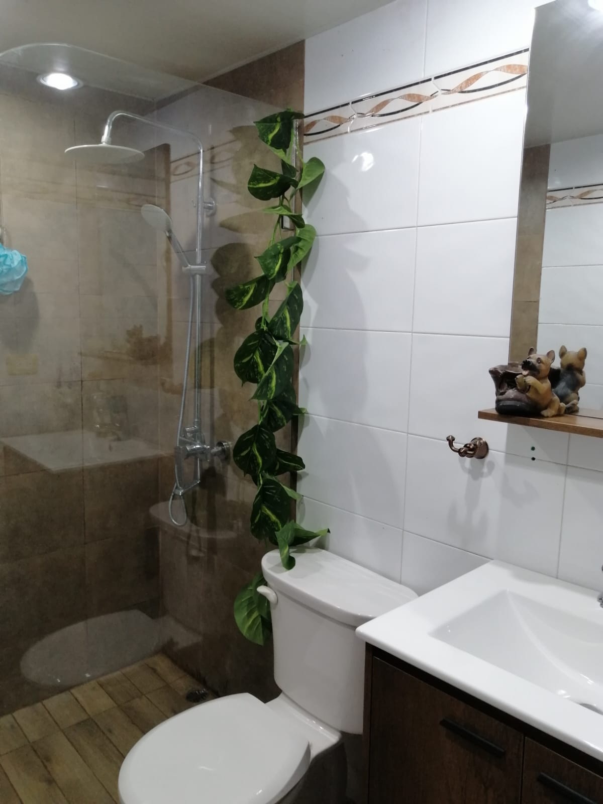 apartamentos - Apartamento en renta en El Millon 4