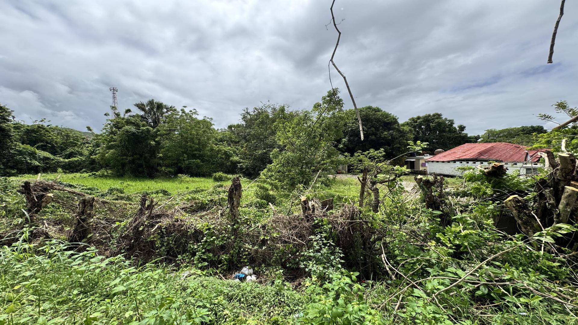solares y terrenos - TERRENO DE VENTA EN LA CARRETERA TURISTICA GURABO LUPERON SANITAGO 6