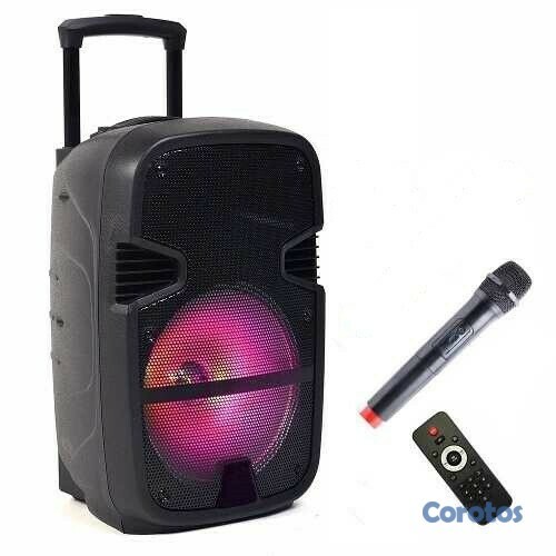 otros electronicos - Bocina de 12 pulgada KTS-1158 RGB, incluye micrófono inalambrico 2