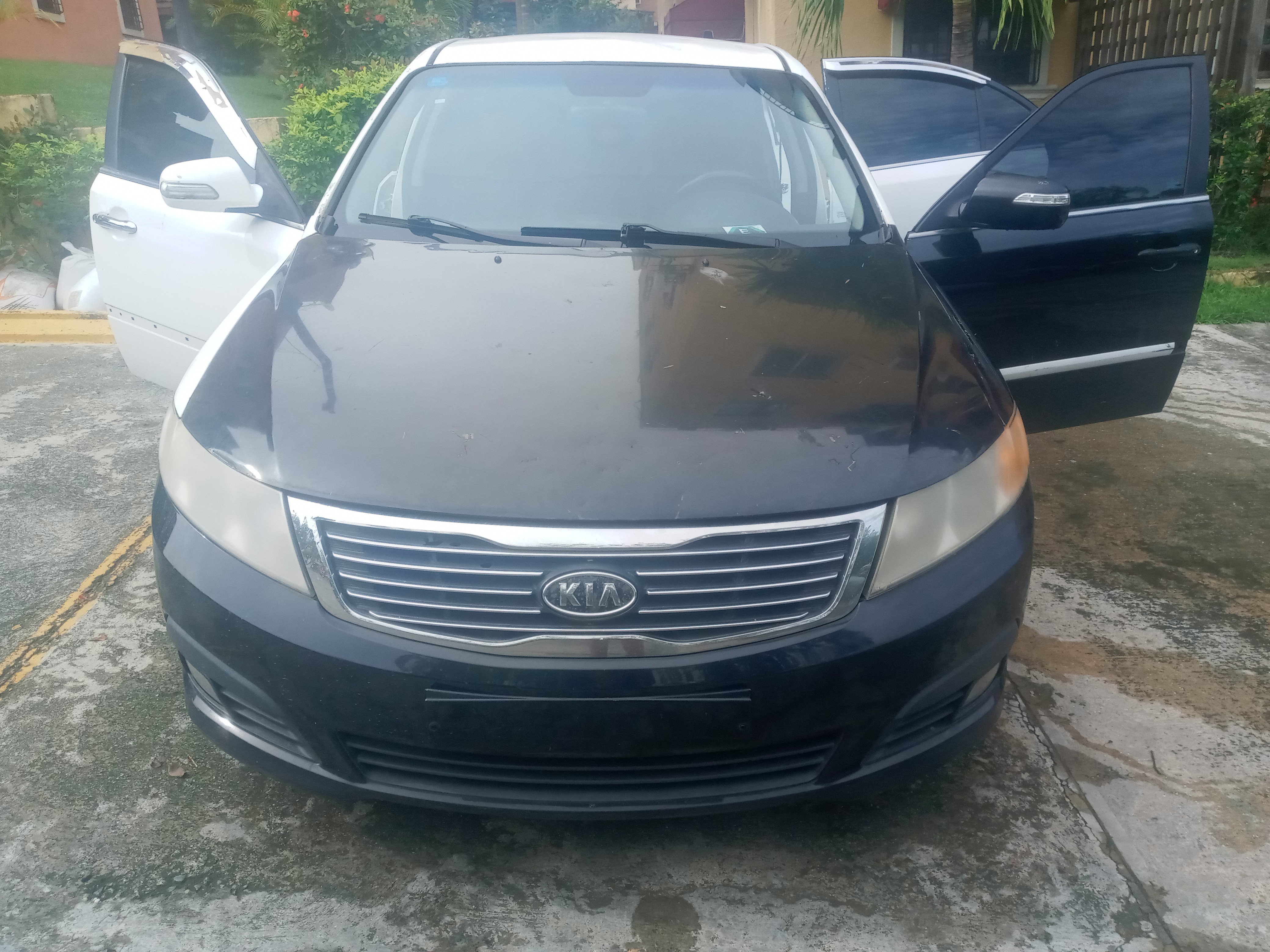 carros - Kia Lotze  1
