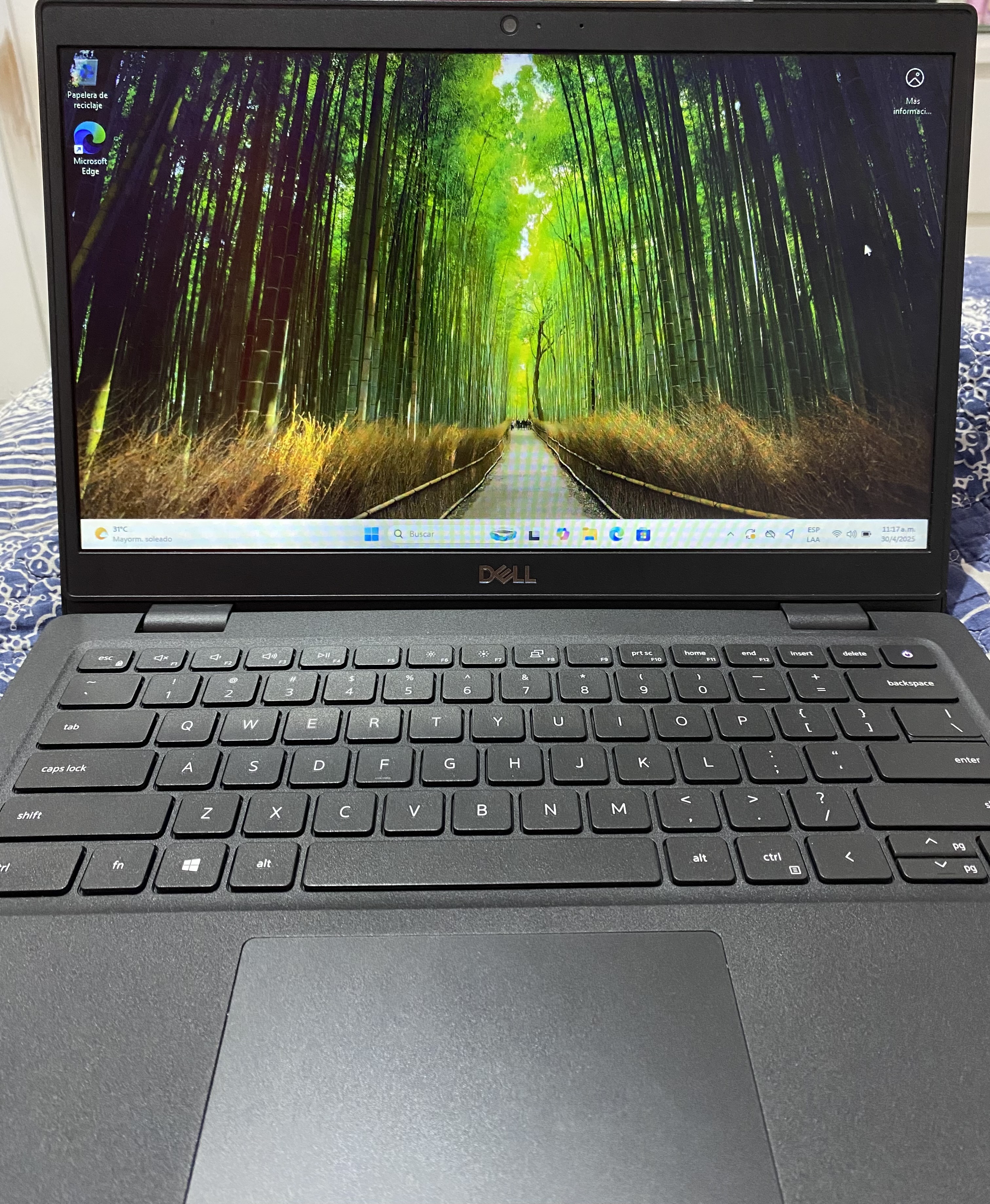 computadoras y laptops - Dell latitude  0
