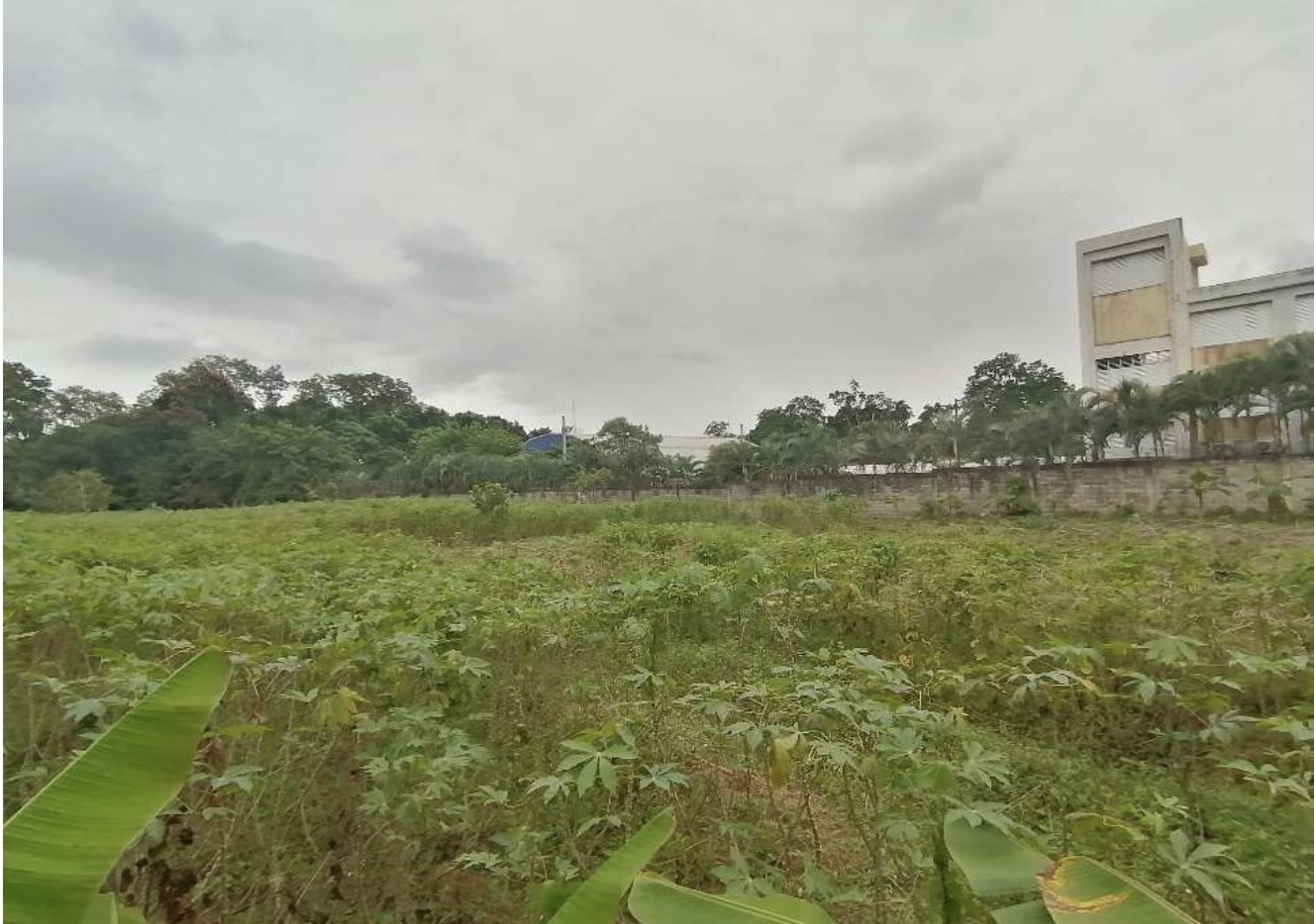 solares y terrenos - Terreno en Venta en Castillo, Salida a Nagua 7