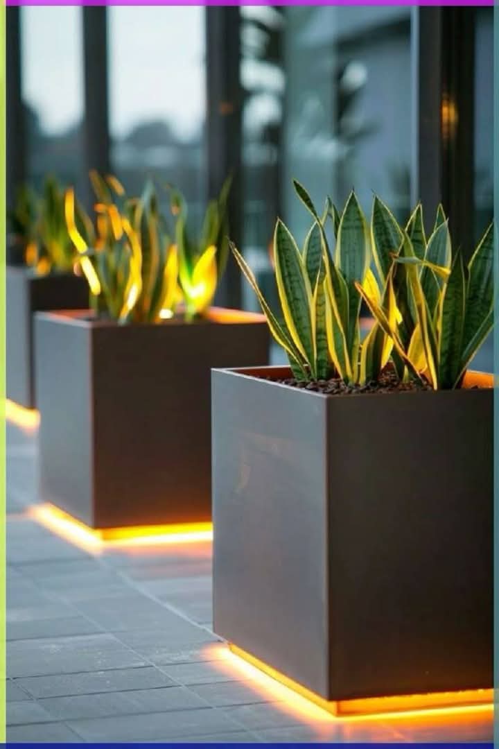 decoración y accesorios - MACETEROS MODERNOS 1
