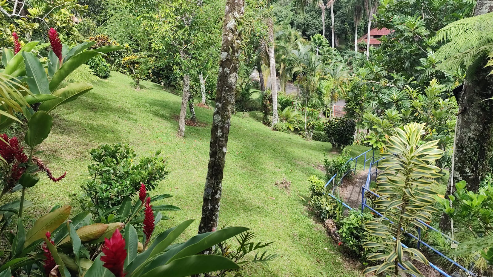 casas vacacionales y villas - Hermosa finca en venta!! 3