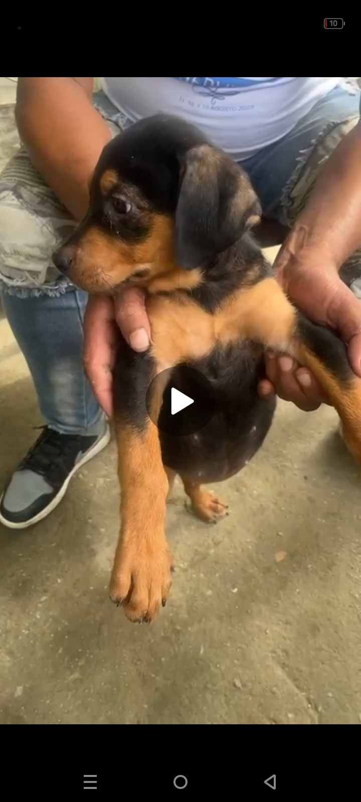 animales y mascotas - Cachorra Rottweiler a la venta tiene 3 meses  3