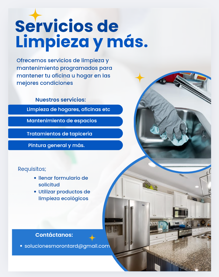 servicios profesionales - servicios multiples