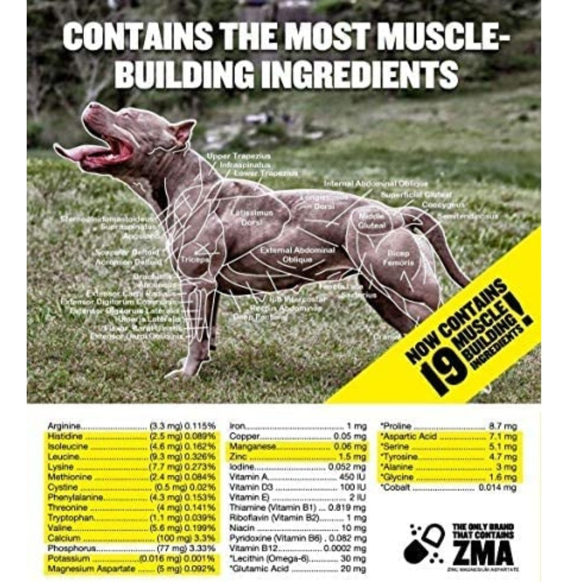 Salud y Equipamiento Médico - Bully Max Para Perro Suplemento Muscular  60 Tabletas 3