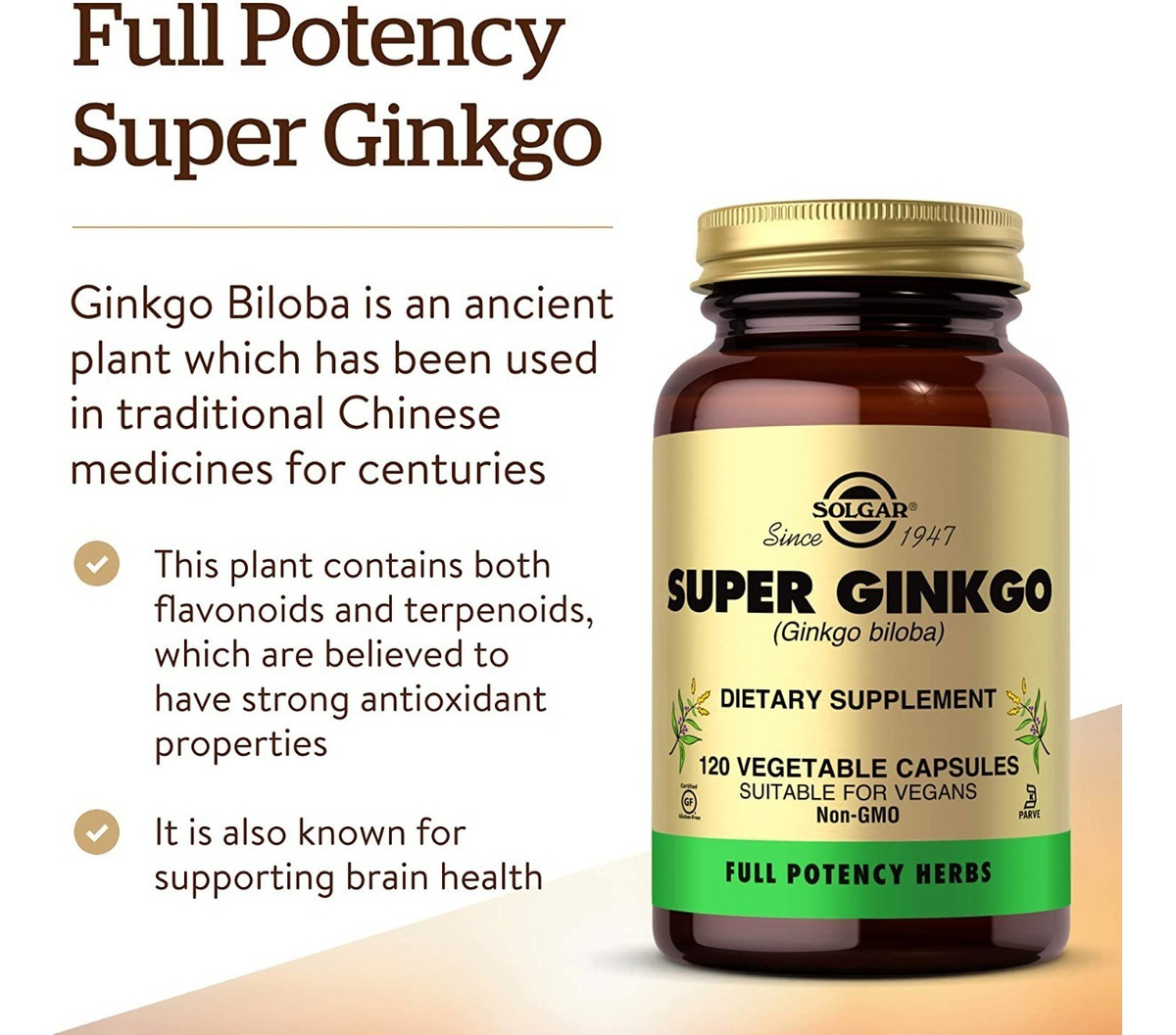 Salud y Equipamiento Médico - Super Ginkgo Biloba Solgar Cerebral Sistema Nervioso 120 Cap 2