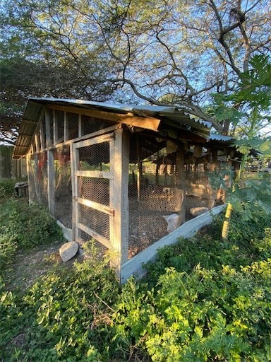 solares y terrenos - Finca de venta en Mamey 4