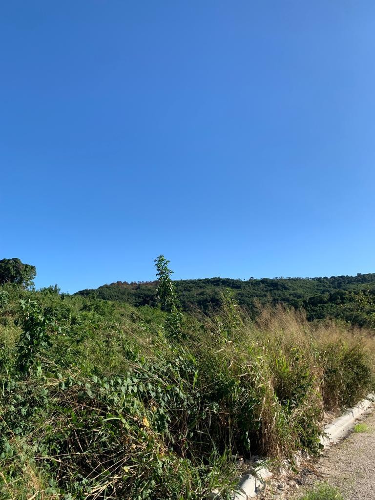 solares y terrenos - Venta de lotes de Terreno en Barahona!!!

 2