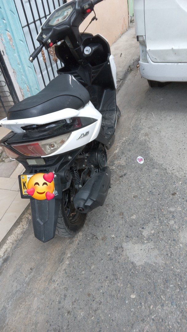 motores y pasolas - Super gato AS 150 2024 5