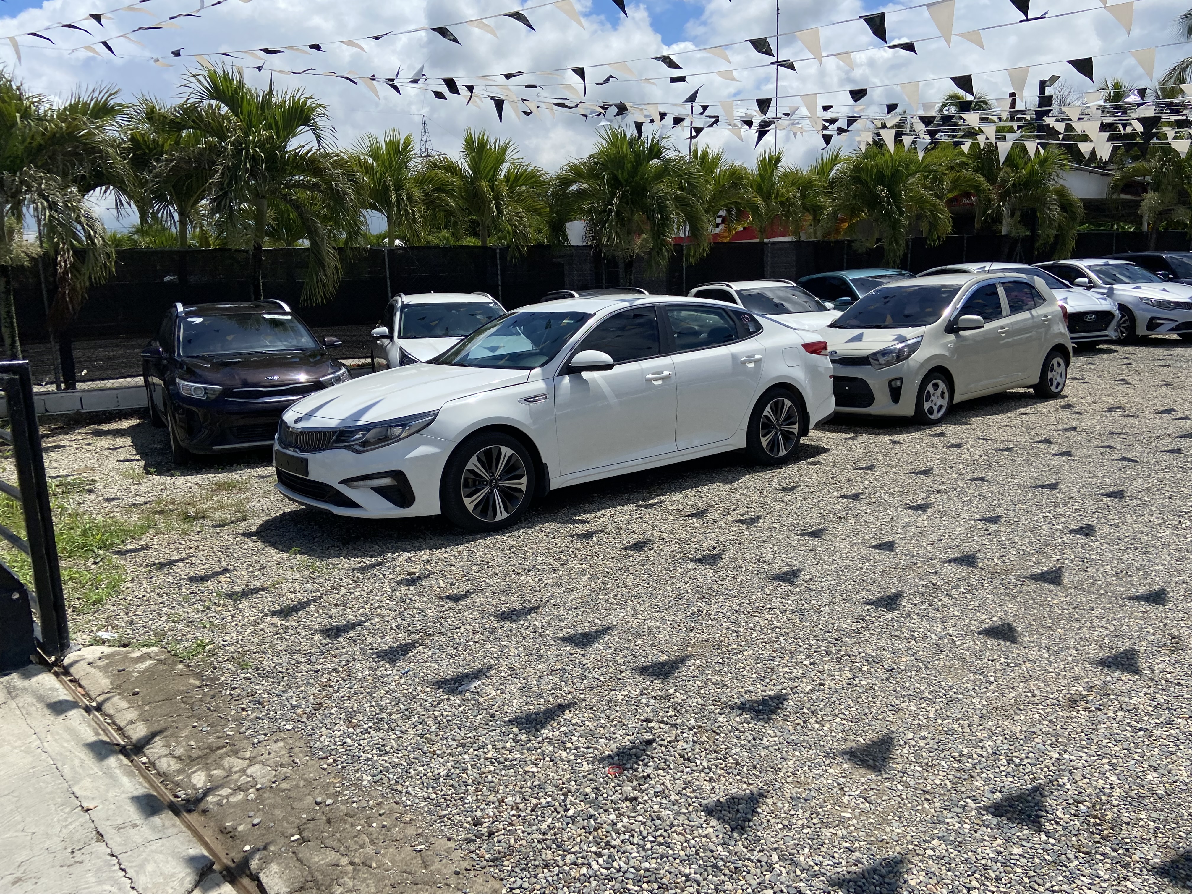 carros - Somos importadores de vehiculos coreanos  8
