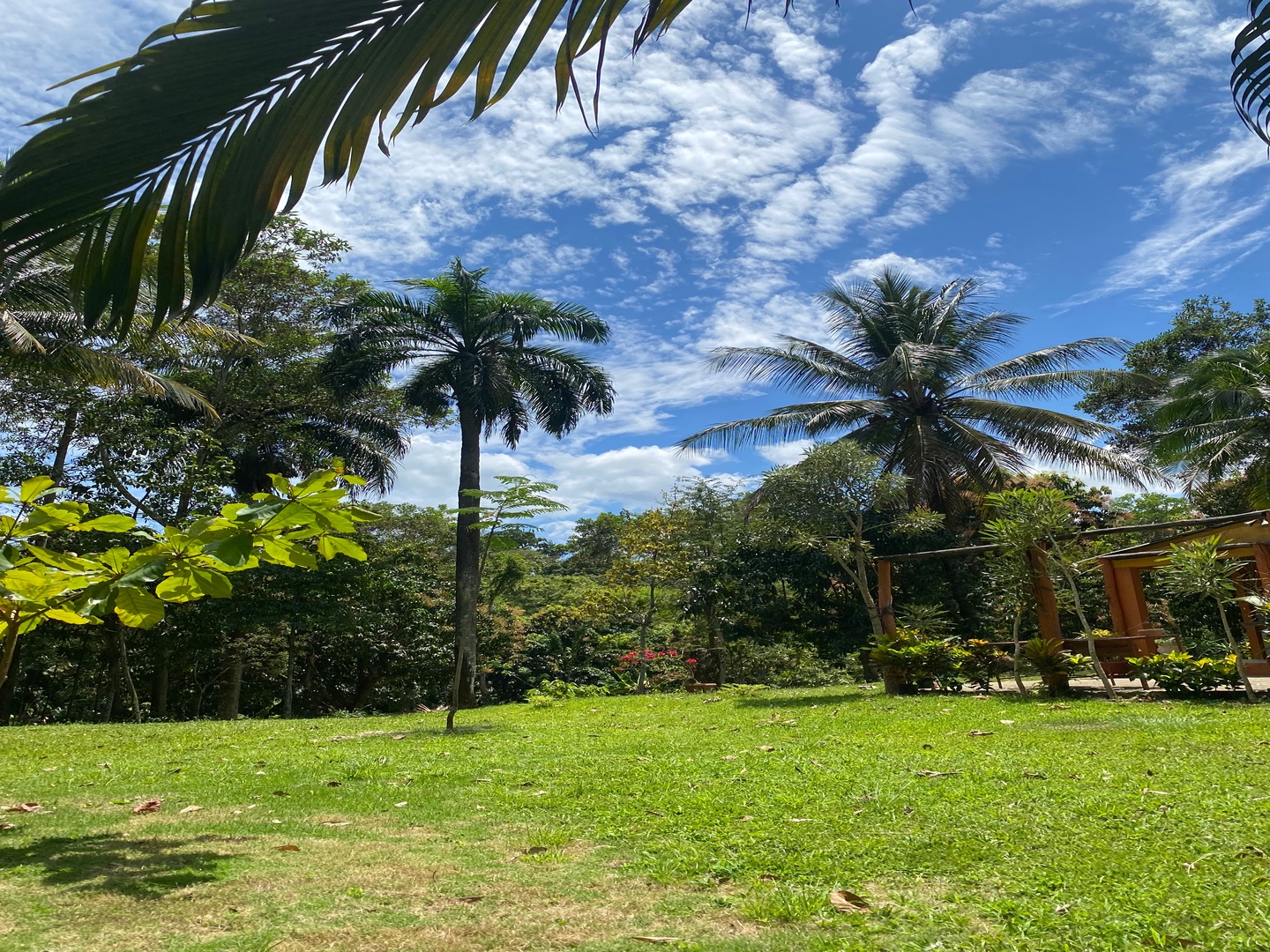 casas vacacionales y villas - Majestuosa finca de 60 tareas de tierra 1600 plantas de aguacate 500 de mango y  2