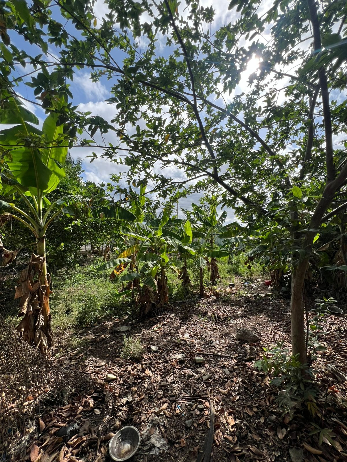 solares y terrenos - Terreno de Venta en Ave. Hispanoamericana  3