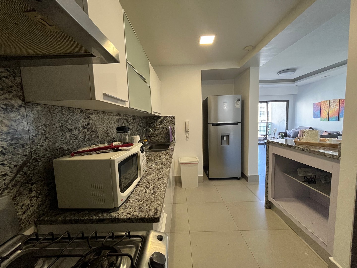 apartamentos - Apartamento En Alquiler En Piantini Amueblado De Dos Habitaciones 4